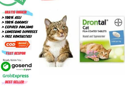 Jual Drontal Cat Obat Cacing Kucing Tablet | Shopee Indonesia