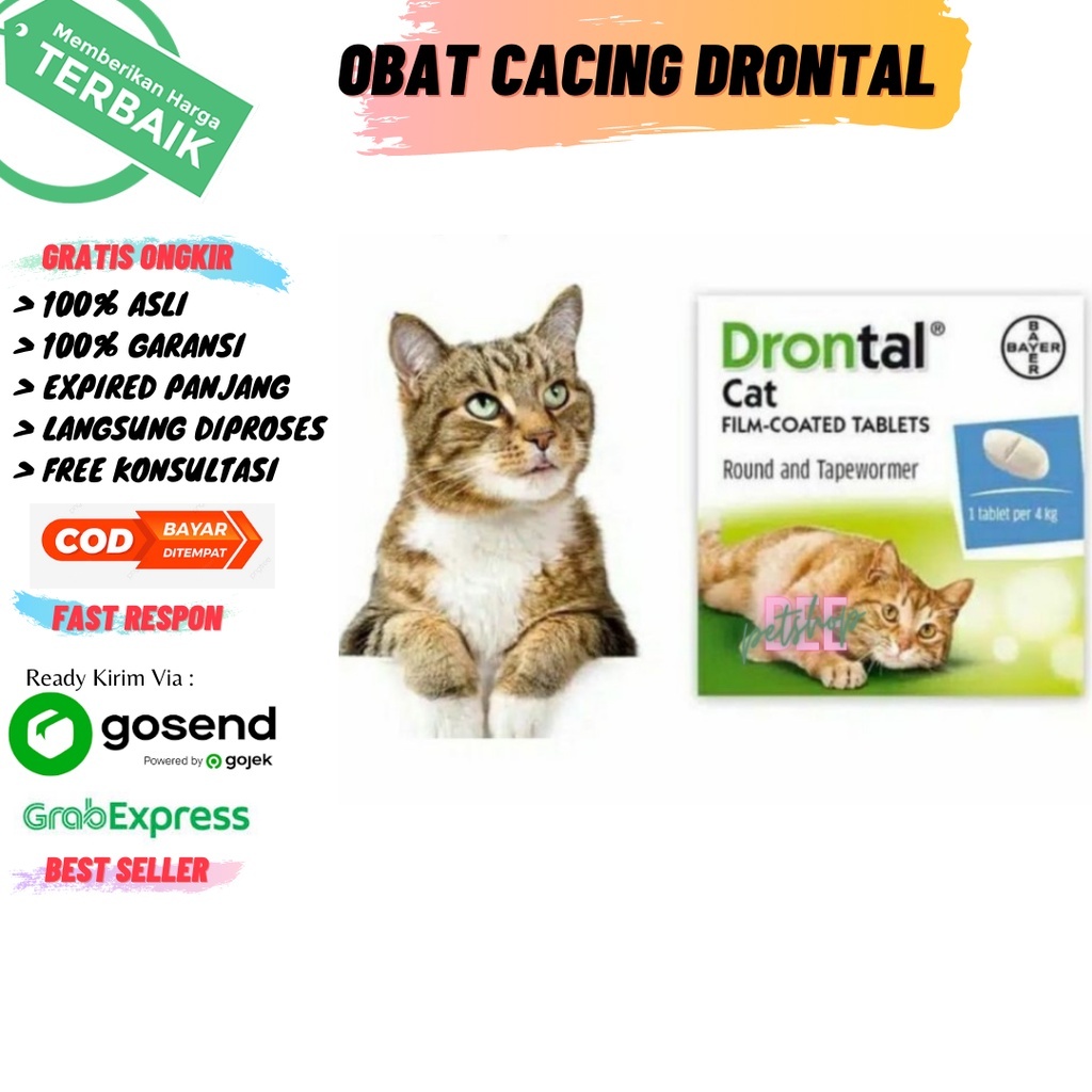 Review Obat Cacing Kucing Paling Efektif Di Pasaran (Drontal, Dll)