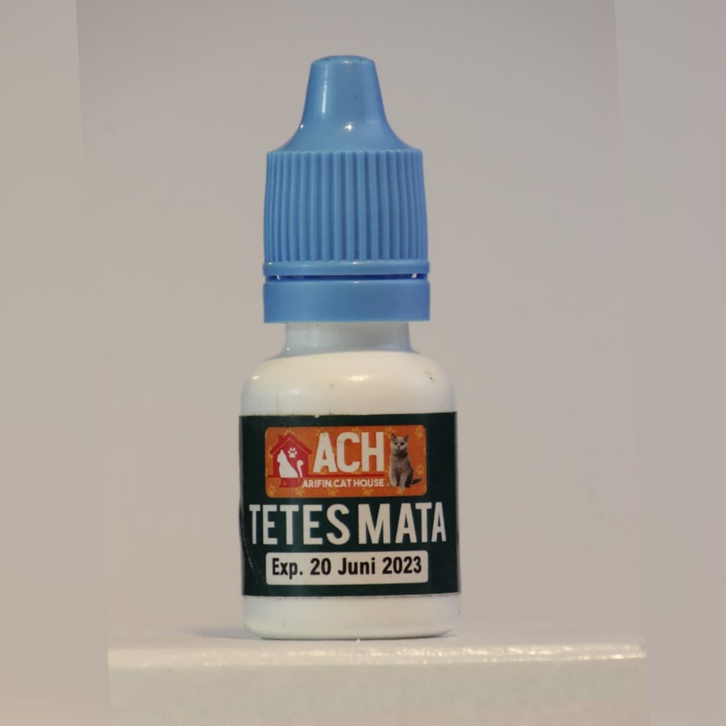 Review Tetes Mata Kucing Terbaik Untuk Mengatasi Belekan