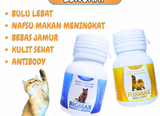 VITAMIN KUCING NAFSU MAKAN KUCING PENUMBUH BULU KUCING PAKET / VITAMIN ...