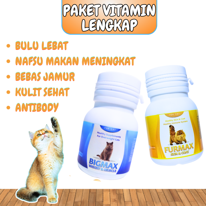 Review 5 Merek Vitamin Bulu Kucing Paling Ampuh (Update 2025)