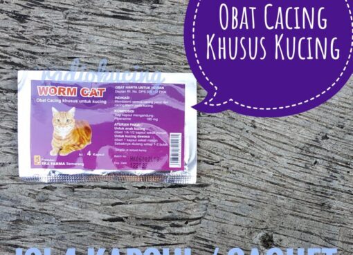 Kecacingan Pada Kucing. Apa Yang Anda Perlu Tahu Mengenainya u2013 The ...