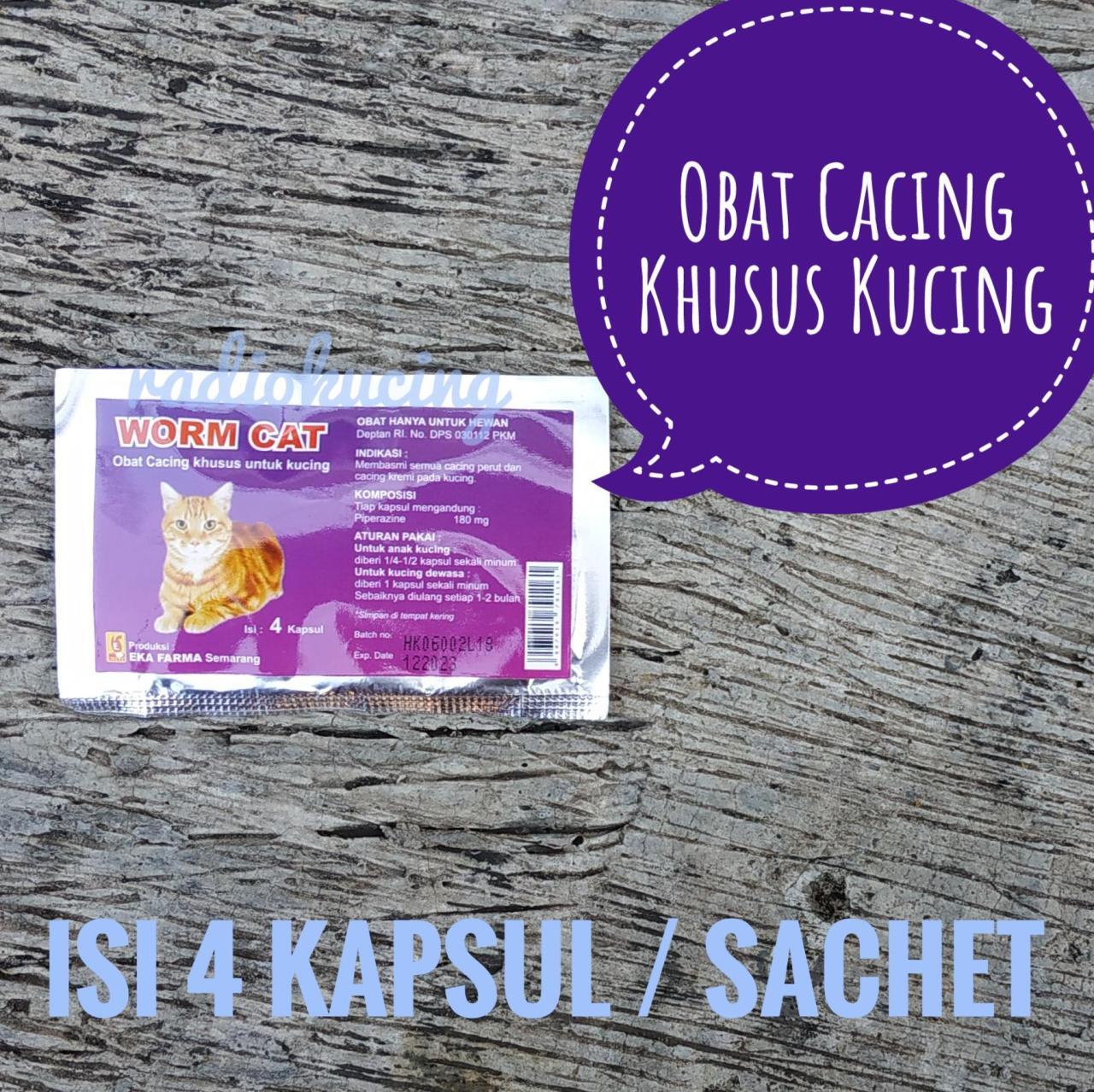 Tanda-Tanda Kucing Cacingan Dan Jadwal Pemberian Obat Cacing