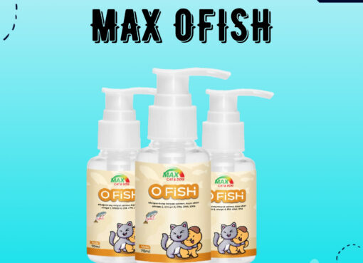 Jual Vitamin Minyak Ikan Menjaga Kesehatan Kulit Bulu dan Tulang untuk ...