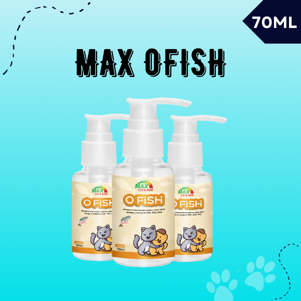 Review Suplemen Minyak Ikan Untuk Kesehatan Bulu Dan Kulit Kucing
