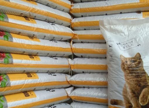 Kemasan Makanan Kucing (Rekomendasi dari Kami untuk Anda) | Putramapack