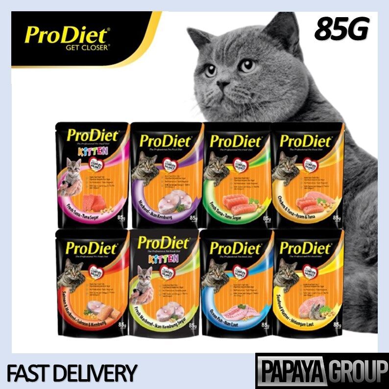 10 Rekomendasi Makanan Kucing (Dry Food) Terbaik Di Bawah Rp 50.000