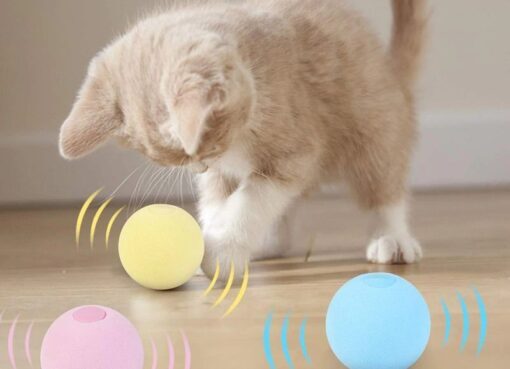 8 Mainan Kucing yang Aman agar Kucing Makin Lincah dan Happy - Alodokter